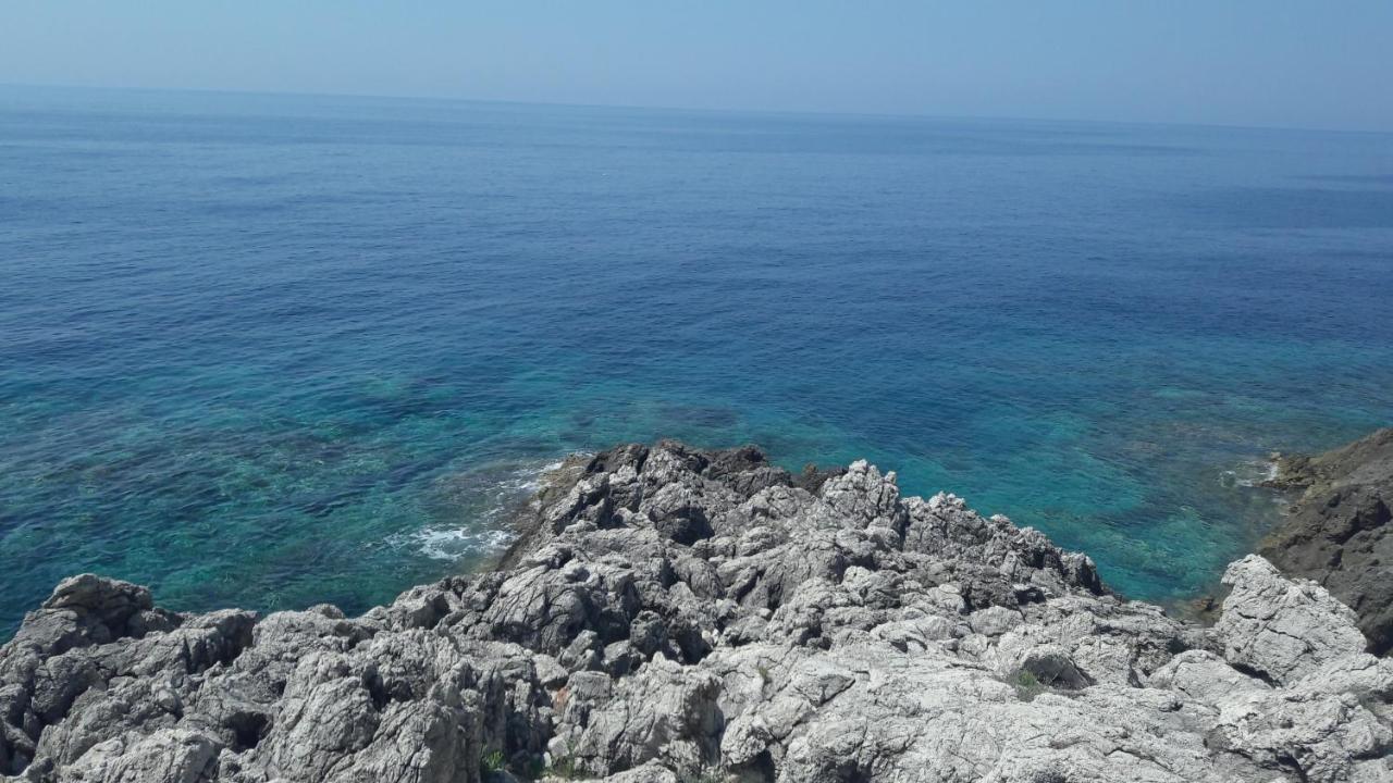 Apartments Rotim, Mljet, Sutmiholjska Babino Polje Kültér fotó