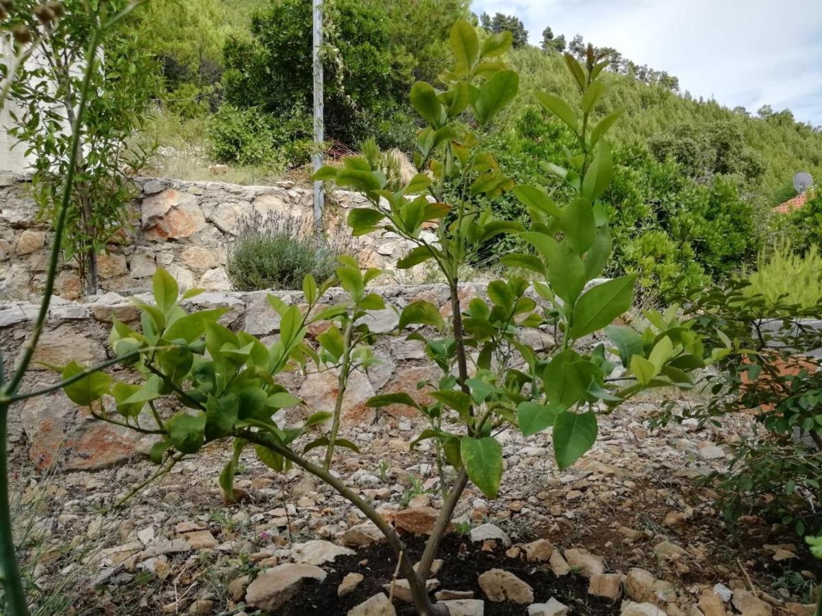 Apartments Rotim, Mljet, Sutmiholjska Babino Polje Kültér fotó