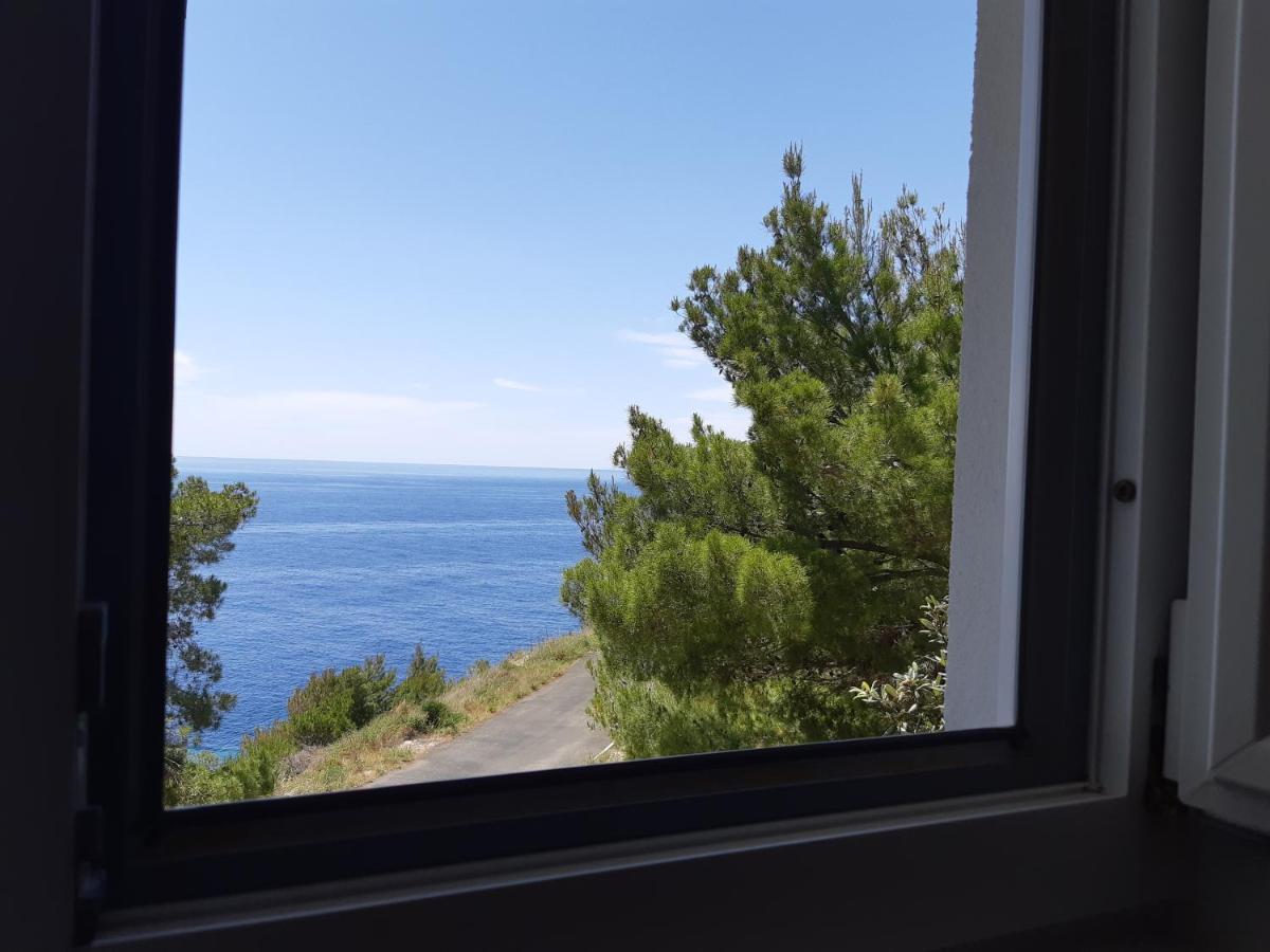 Apartments Rotim, Mljet, Sutmiholjska Babino Polje Kültér fotó